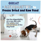 Dog drinking from a bowl with text about a great alternative to freeze-dried and raw food.