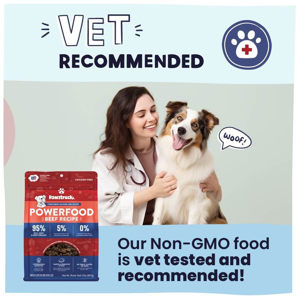 Woman holding a dog with a package of Powerfood Beef Recipe dog food, labeled 'Vet Recommended'.