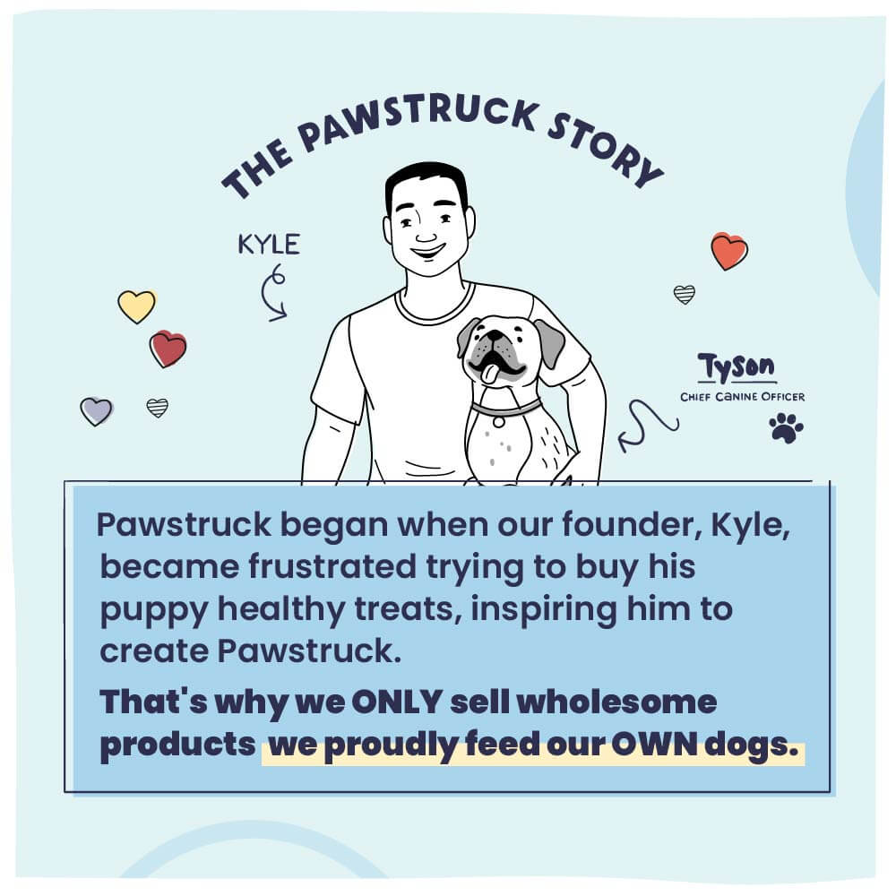 Illustration of a man with a dog, introducing 'The Pawstruck Story' on a light blue background.