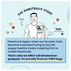 Illustration of a man with a dog, introducing 'The Pawstruck Story' on a light blue background.