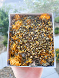 Rabbit Digestive Blend product image 1