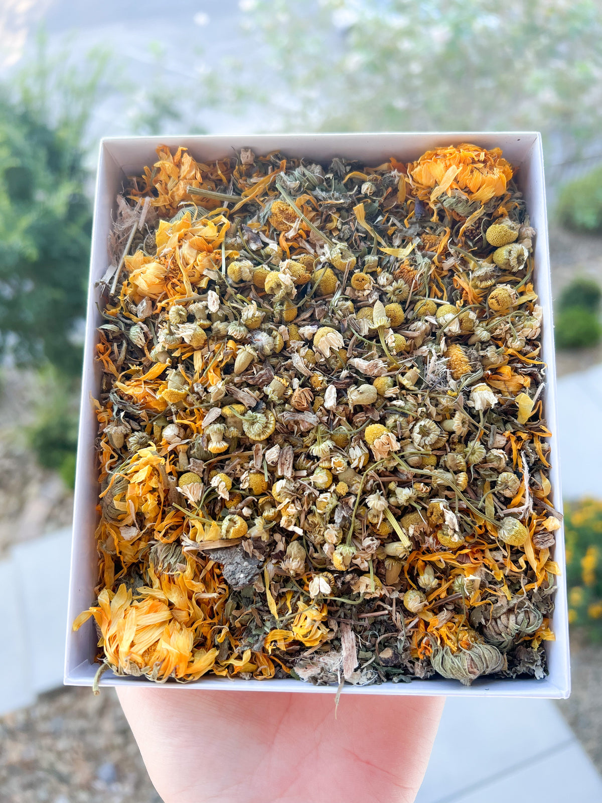 Rabbit Digestive Blend product image 1