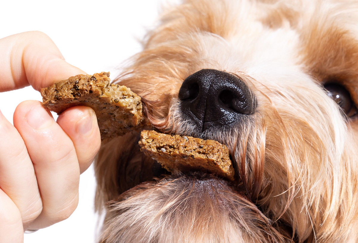 Dog Vitamin Bars product image 11