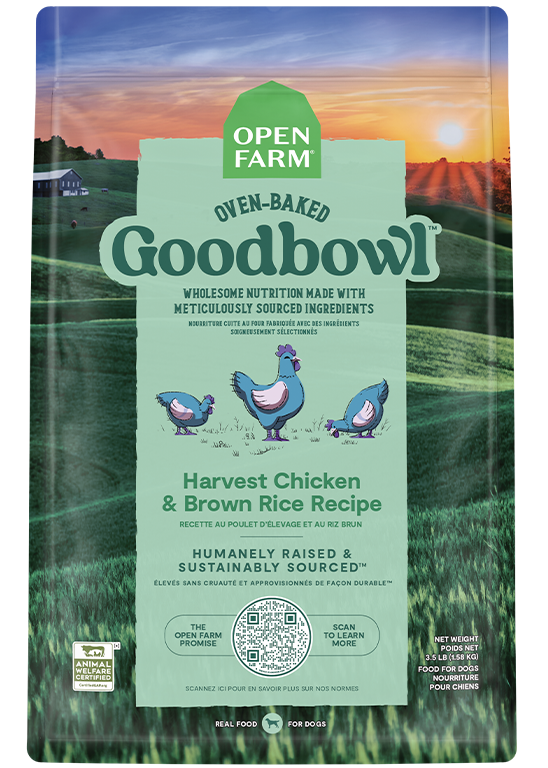 Dry Dog Food product image 1