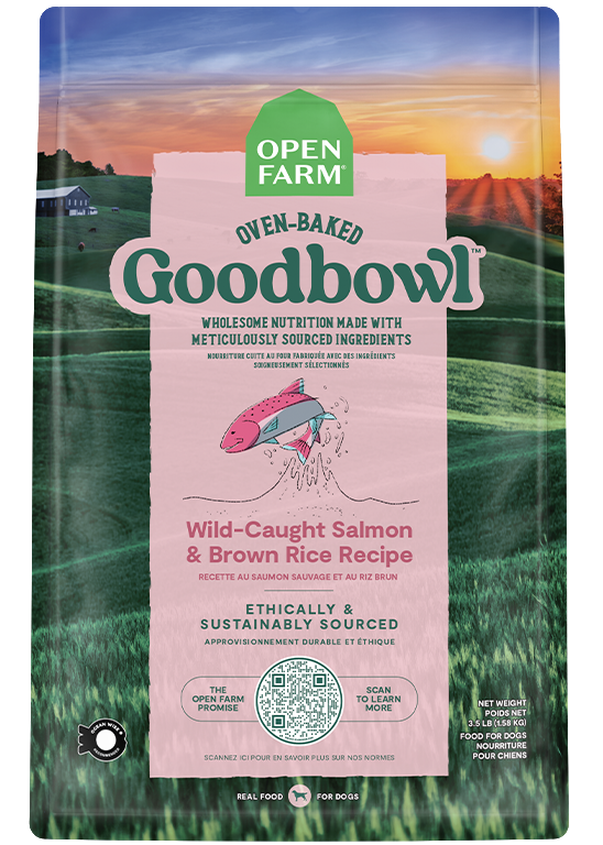 Dry Dog Food product image 1