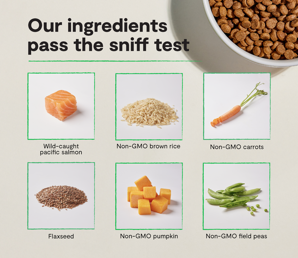 Dry Dog Food product image 3