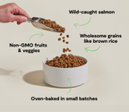 Dry Dog Food product image 5