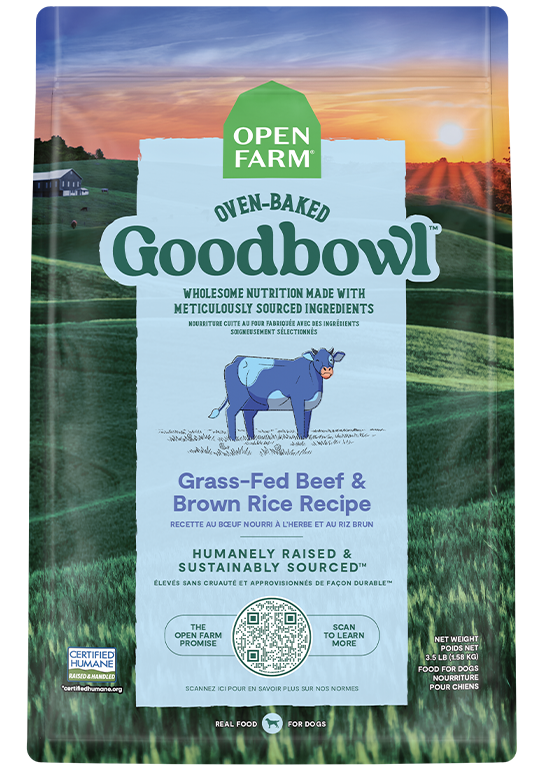 Dry Dog Food product image 1