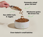 Dry Dog Food product image 5