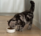 Dry Cat Food product image 7