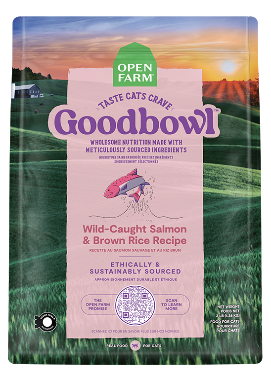 Dry Cat Food product image 1