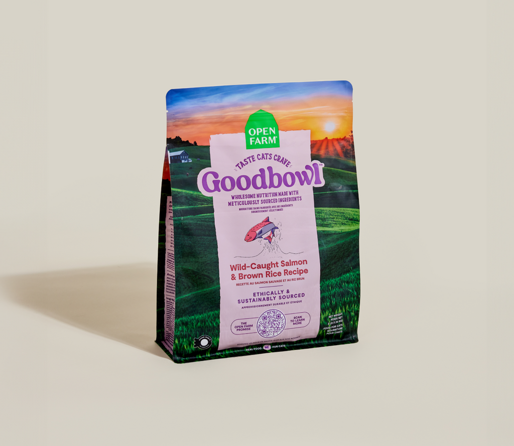 Dry Cat Food product image 2