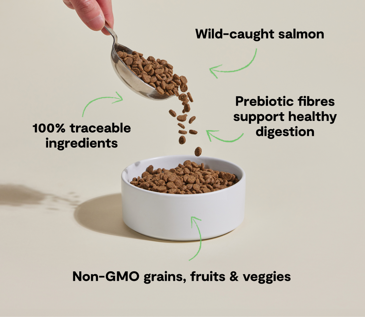 Dry Cat Food product image 5