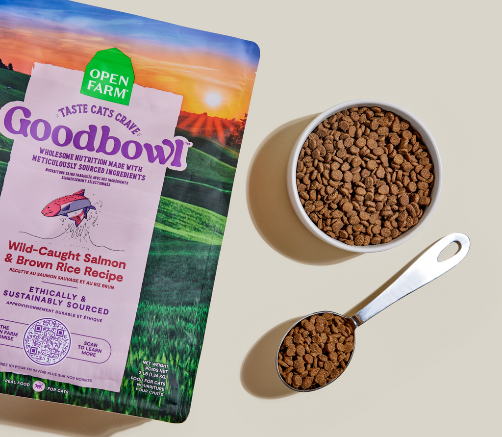 Dry Cat Food product image 6