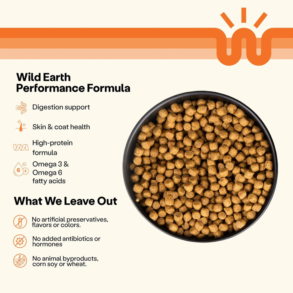 Maintenance Formula Dog Food product image 3