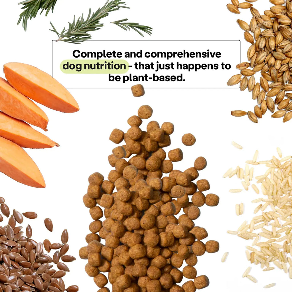 Maintenance Formula Dog Food product image 5