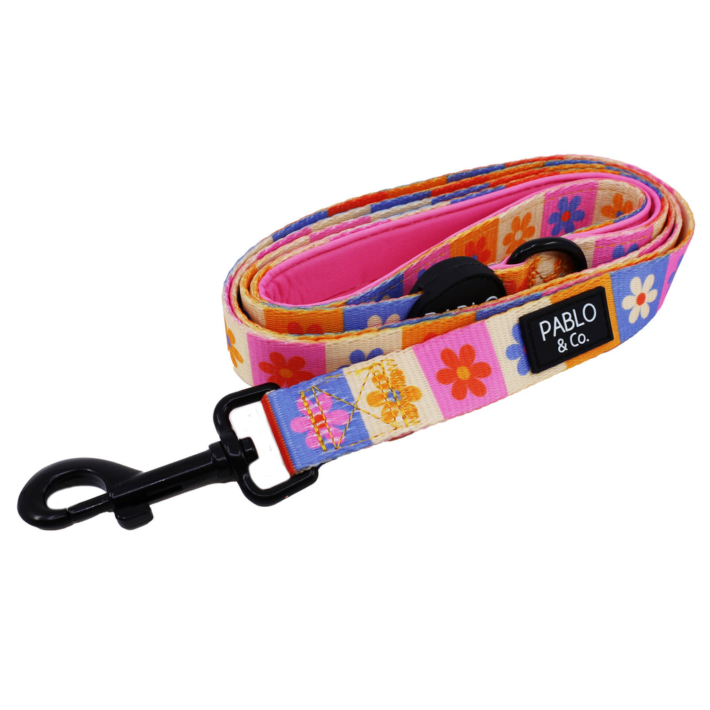 Dog Leash product image 1