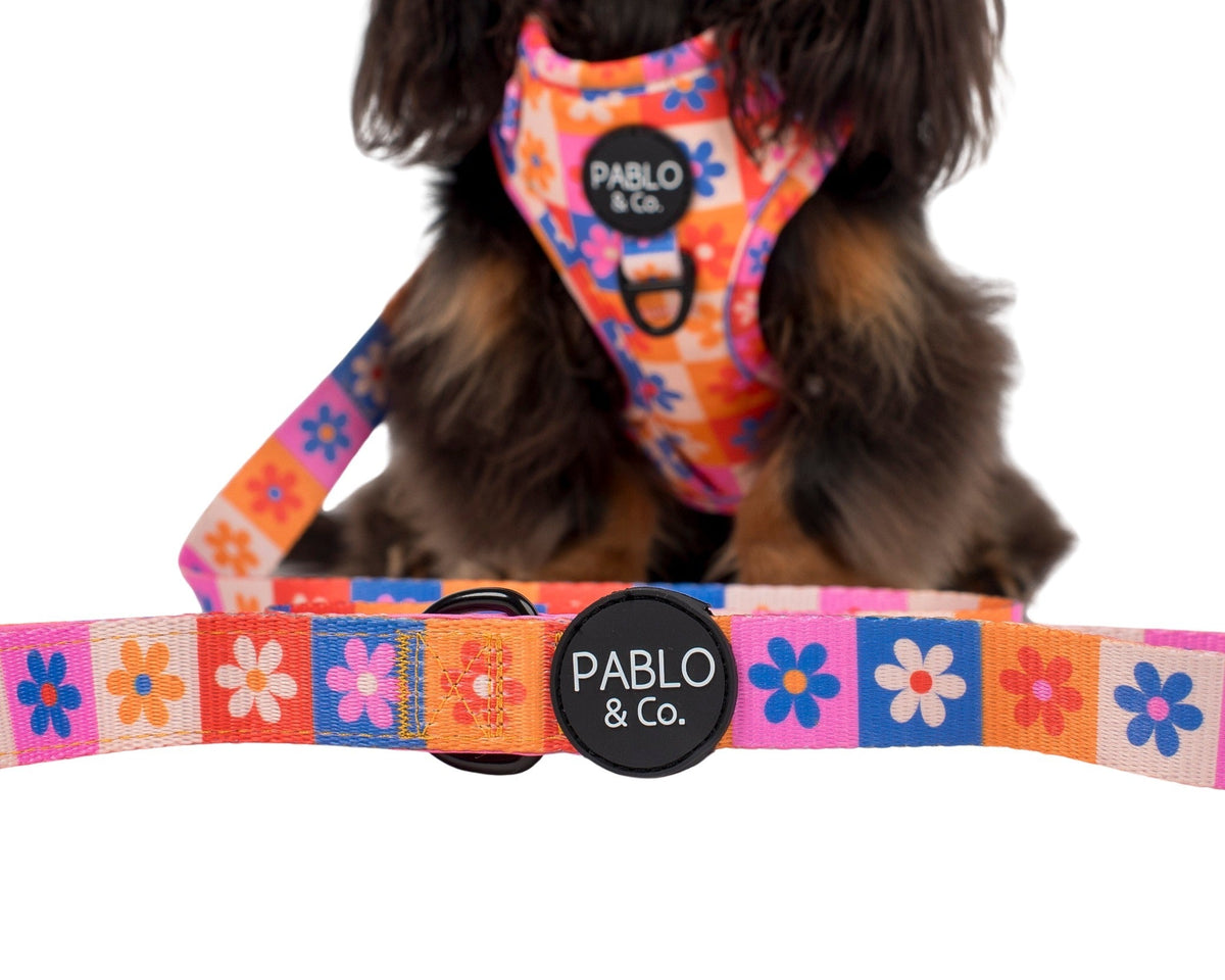 Dog Leash product image 2