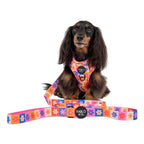 Dog Leash product image 3
