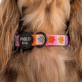Dog Collar product image 1