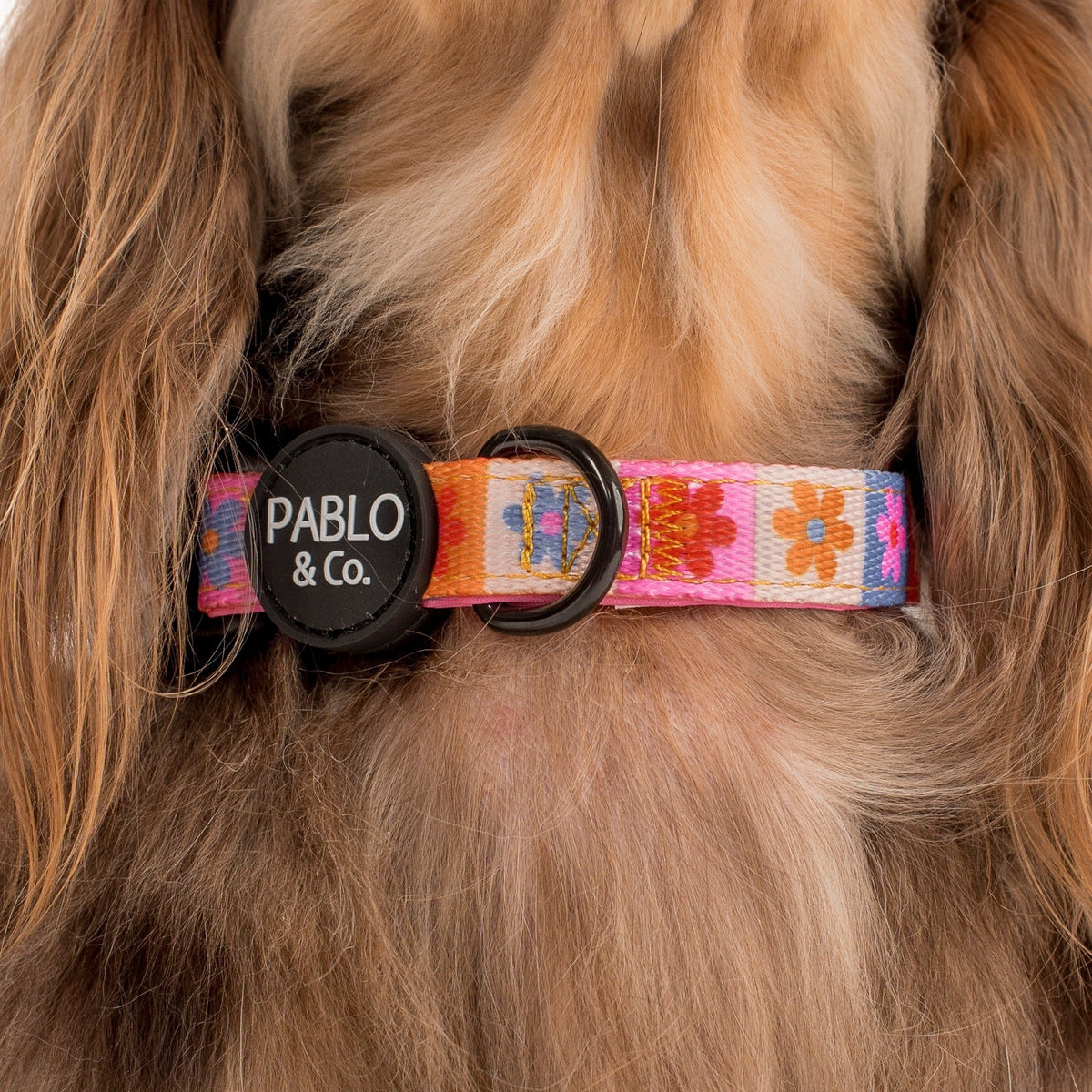 Dog Collar product image 1