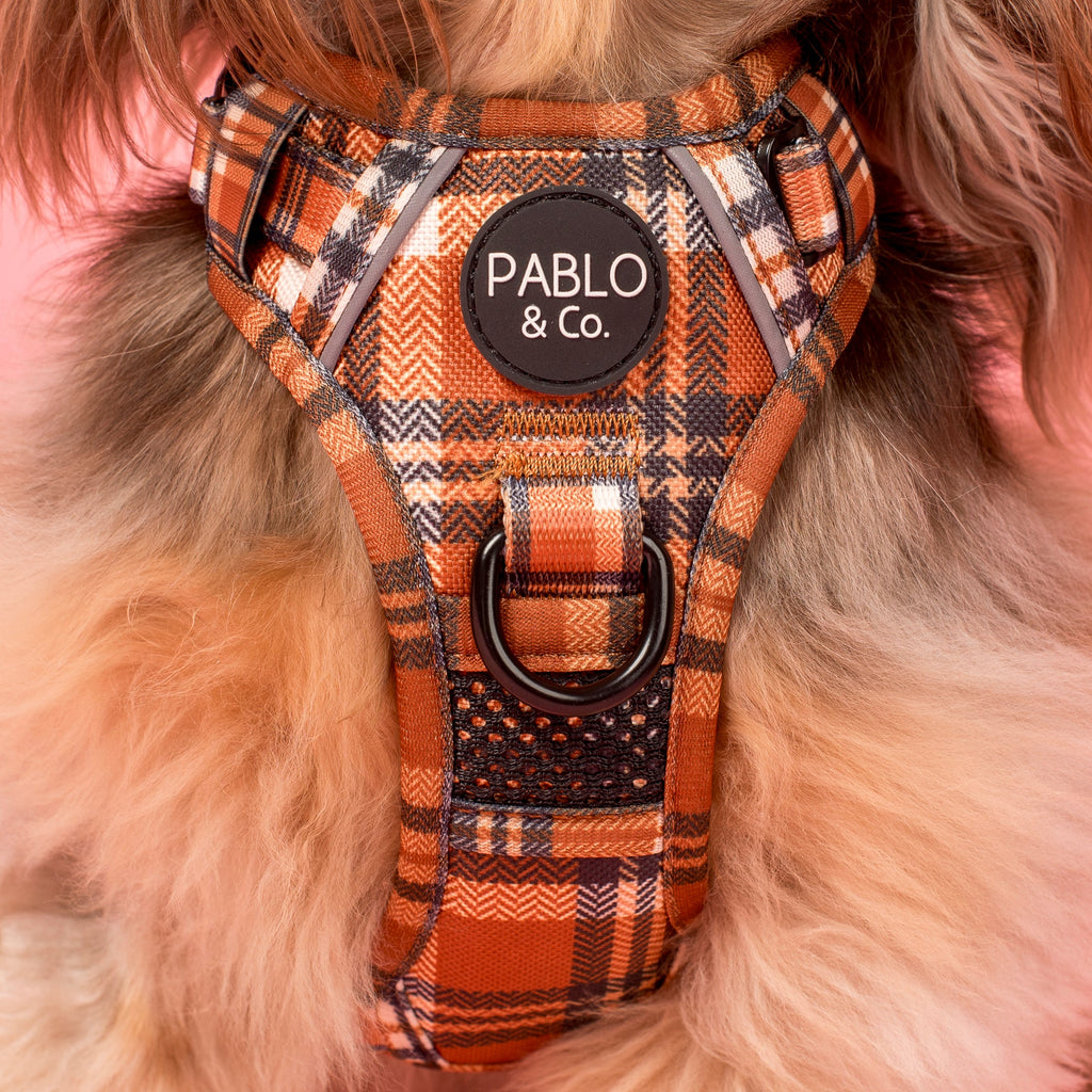 No-Pull Adventure Harness product image 2