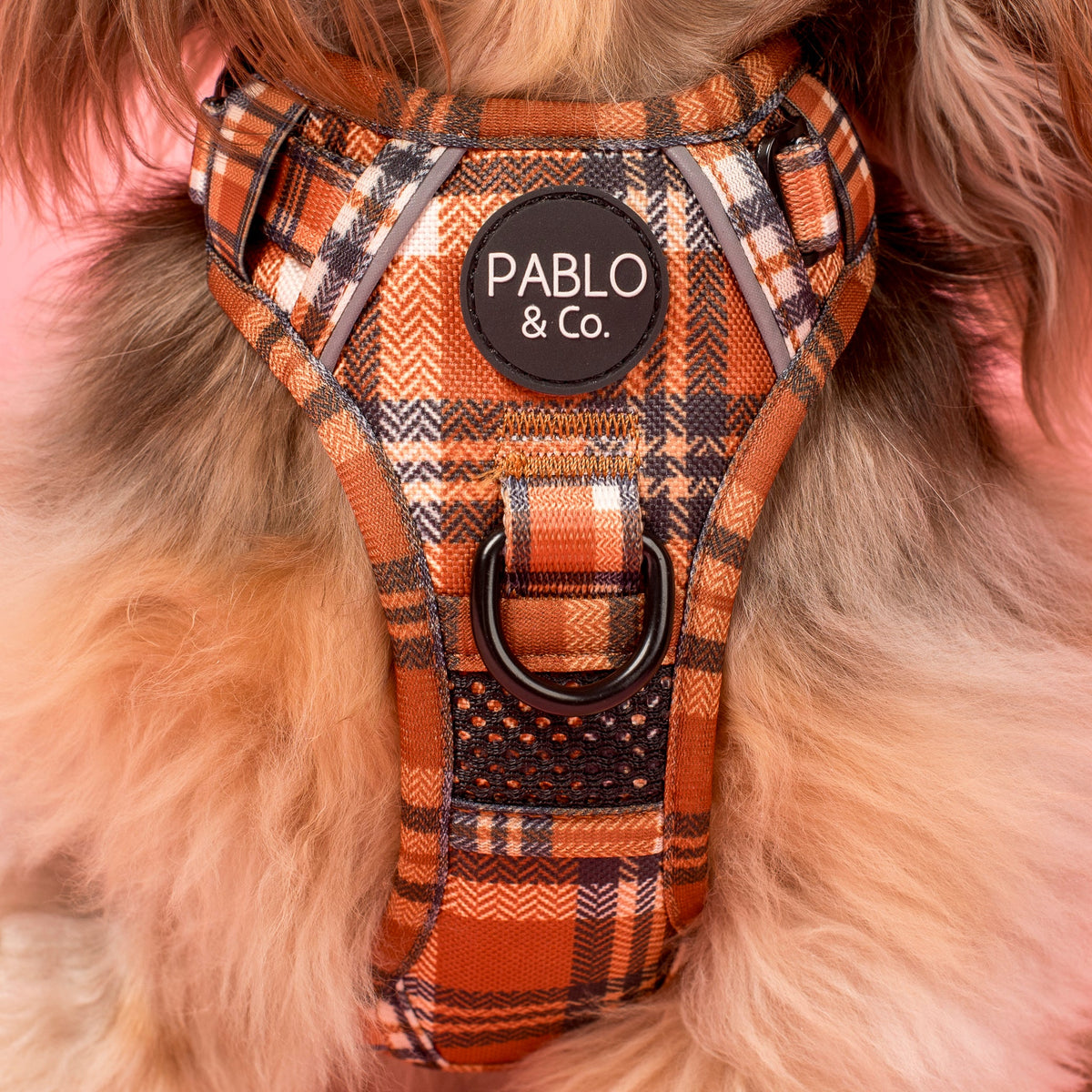 No-Pull Adventure Harness product image 2