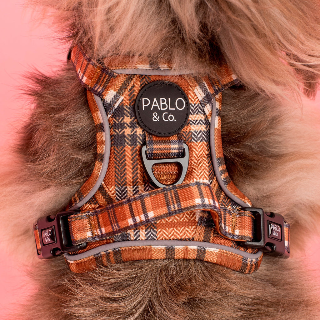 No-Pull Adventure Harness product image 3