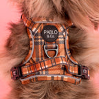 No-Pull Adventure Harness product image 3