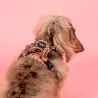 No-Pull Adventure Harness product image 4