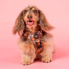 No-Pull Adventure Harness product image 6
