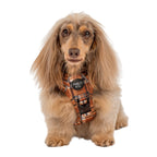 No-Pull Adventure Harness product image 7