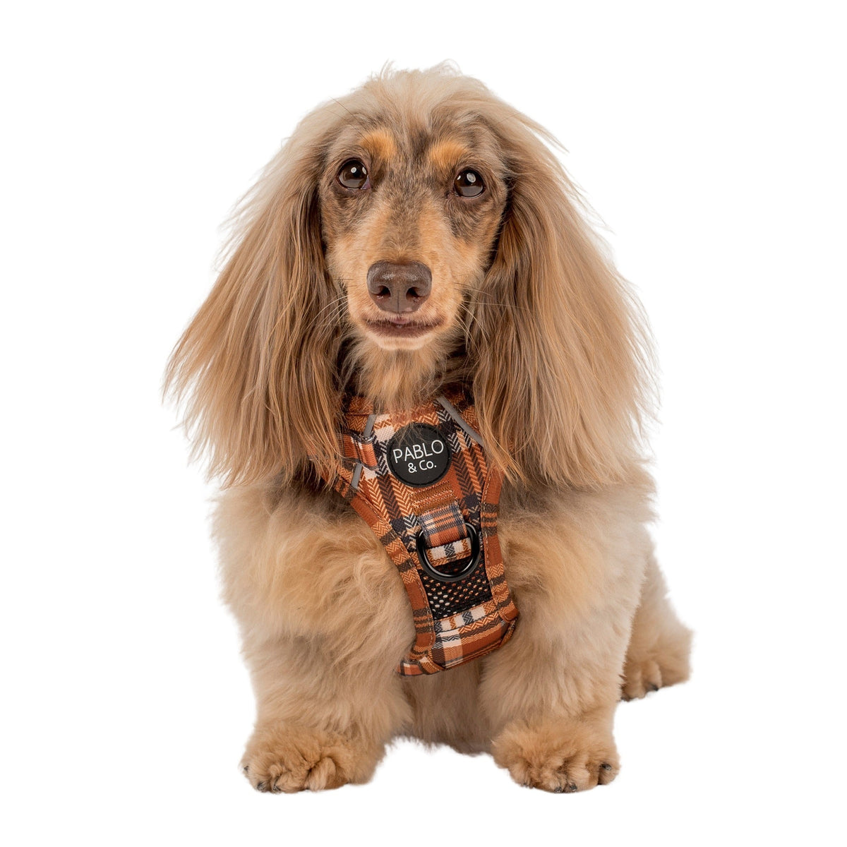No-Pull Adventure Harness product image 7