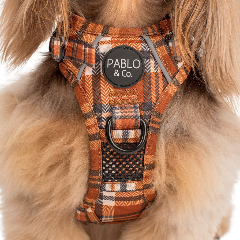 No-Pull Adventure Harness product image 8