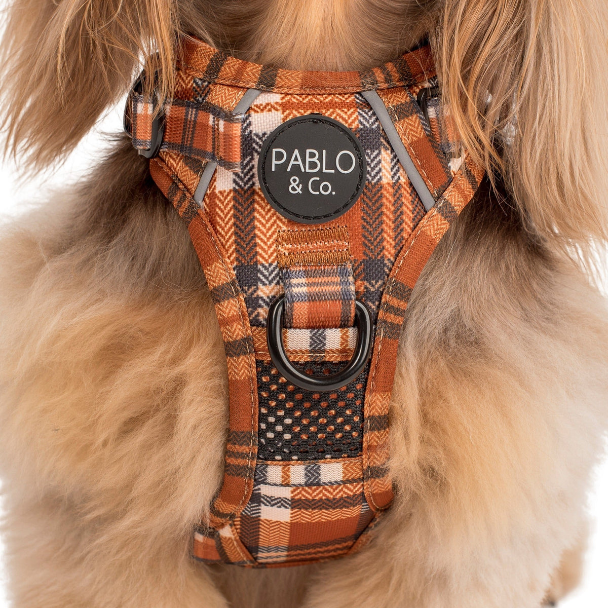 No-Pull Adventure Harness product image 8