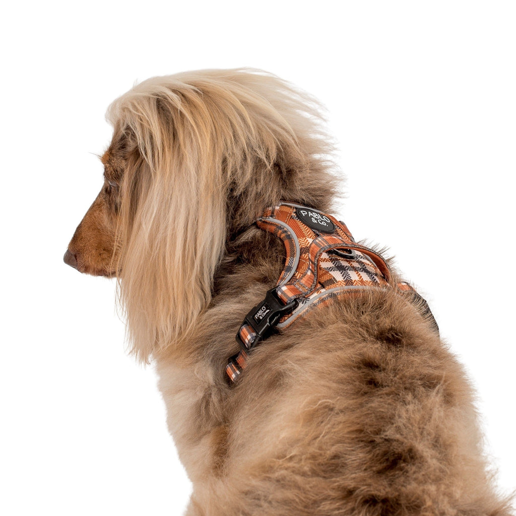 No-Pull Adventure Harness product image 9