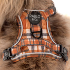 No-Pull Adventure Harness product image 10