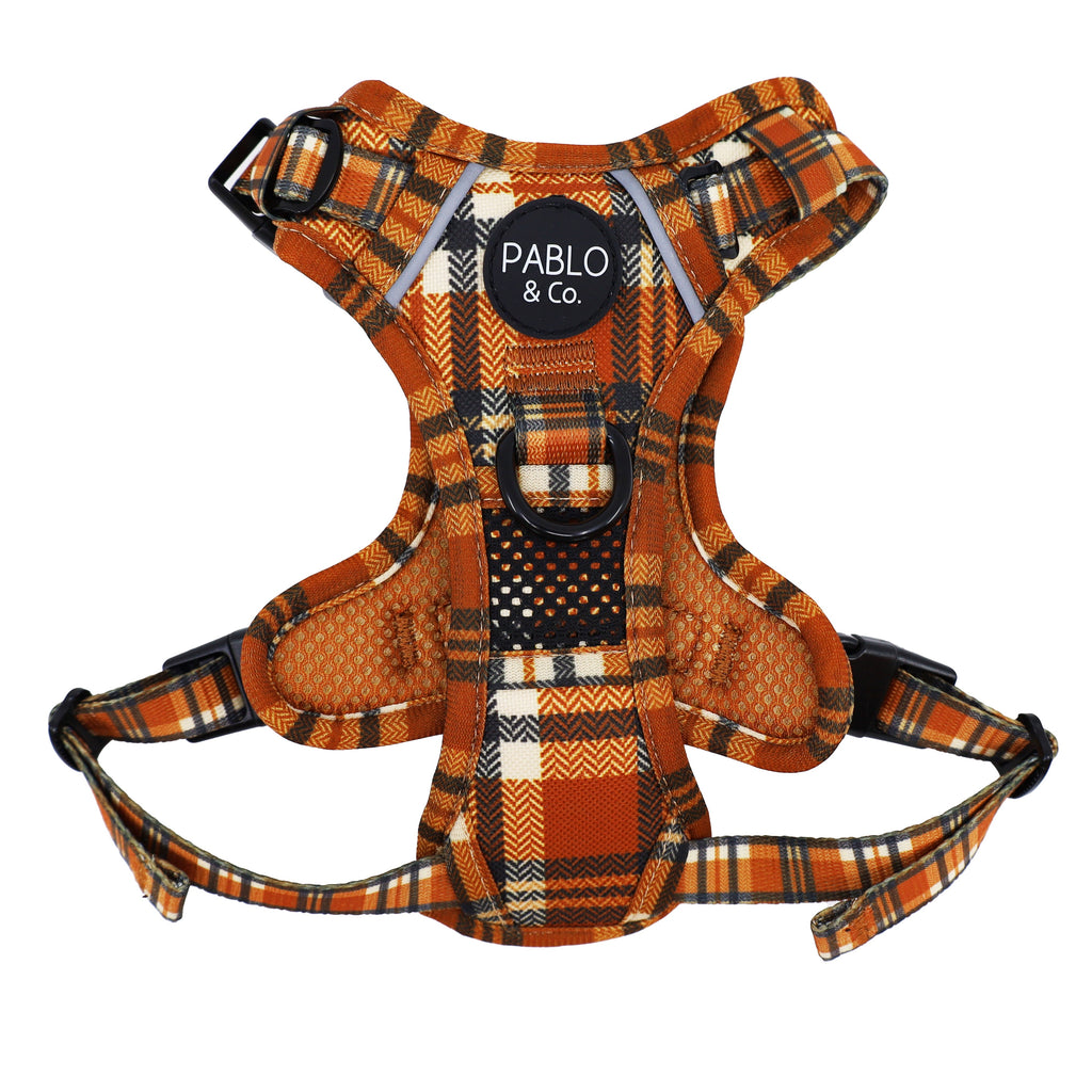 No-Pull Adventure Harness product image 11
