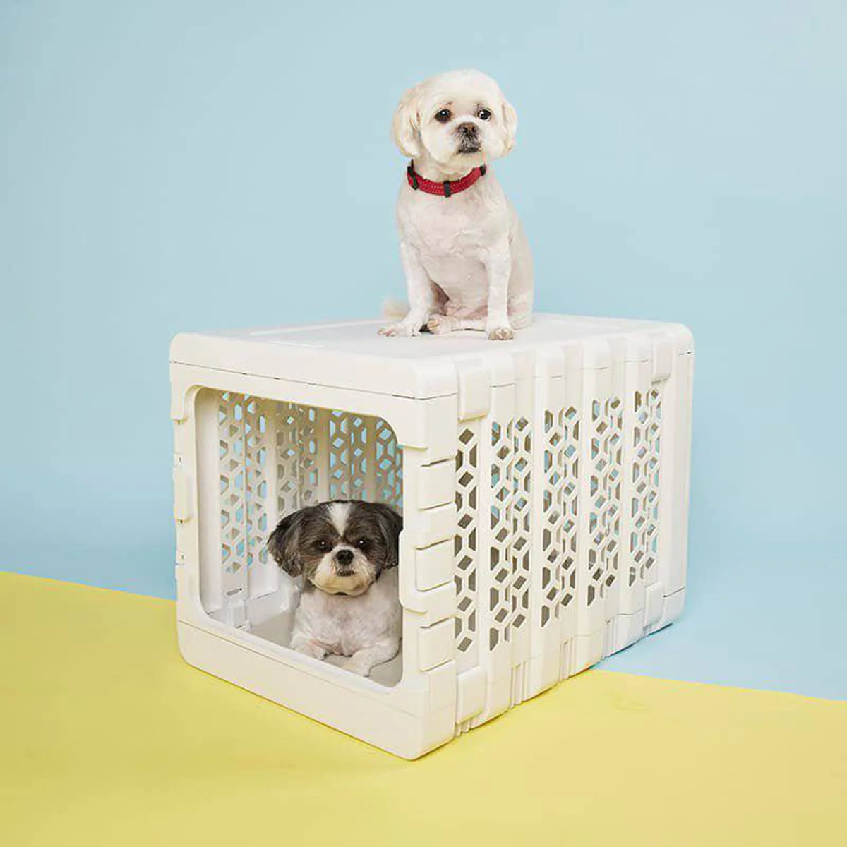 PAWD®  Modern Collapsible Dog Crate product image 1