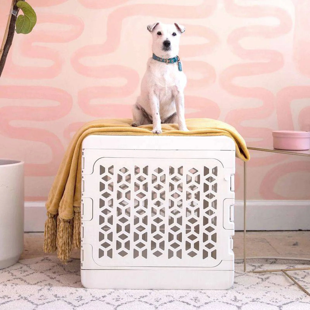 PAWD®  Modern Collapsible Dog Crate product image 2
