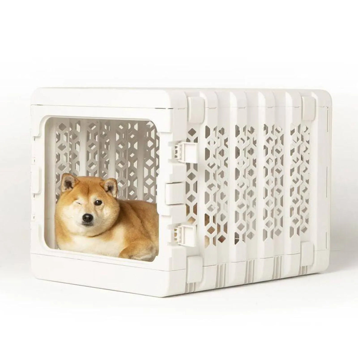 PAWD®  Modern Collapsible Dog Crate product image 5