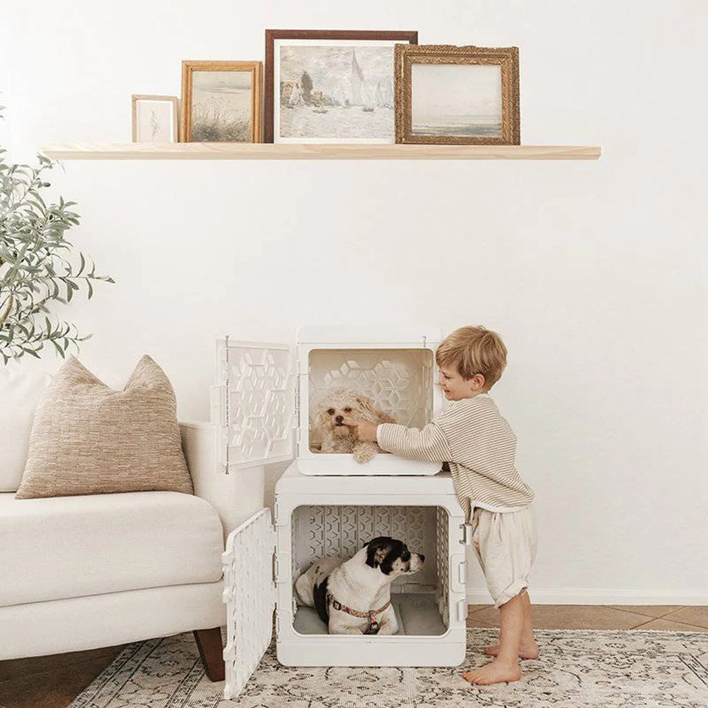 PAWD®  Modern Collapsible Dog Crate product image 7