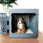 PAWD®  Modern Collapsible Dog Crate product image 11