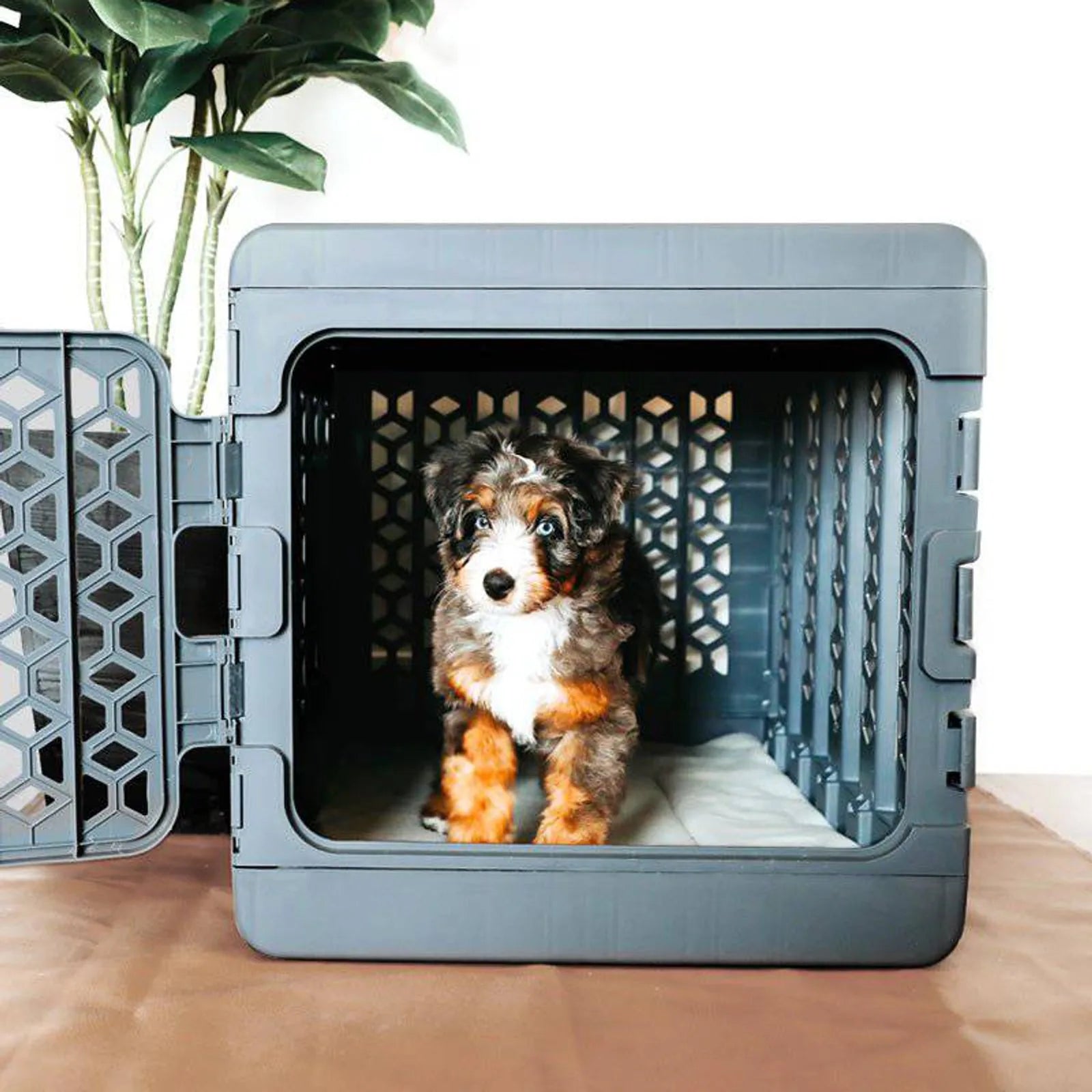 PAWD®  Modern Collapsible Dog Crate product image 11