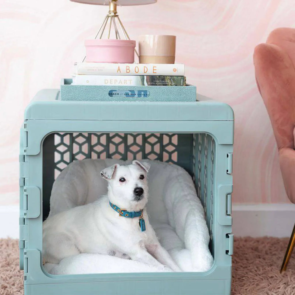 PAWD®  Modern Collapsible Dog Crate product image 16