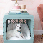 PAWD®  Modern Collapsible Dog Crate product image 16