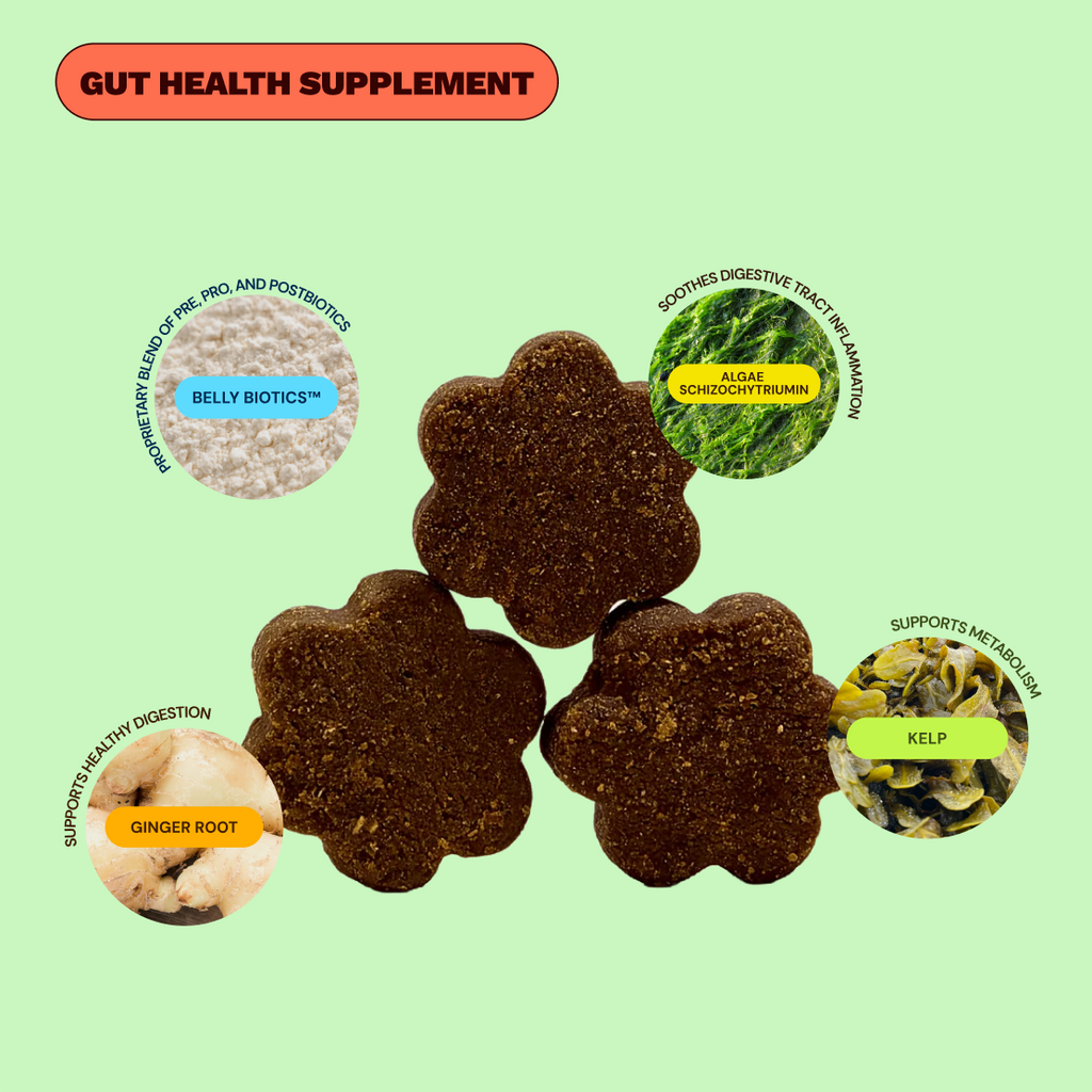 Dog Probiotic Soft Chew product image 2