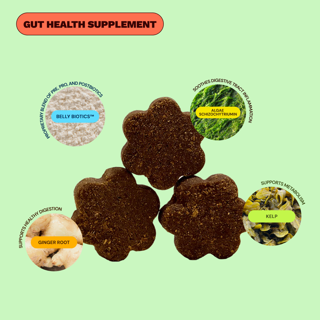 Dog Probiotic Soft Chew product image 2