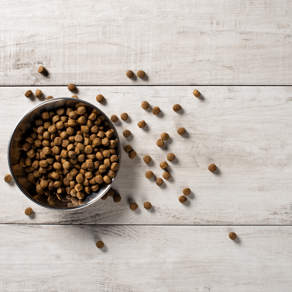 Dog Food product image 3