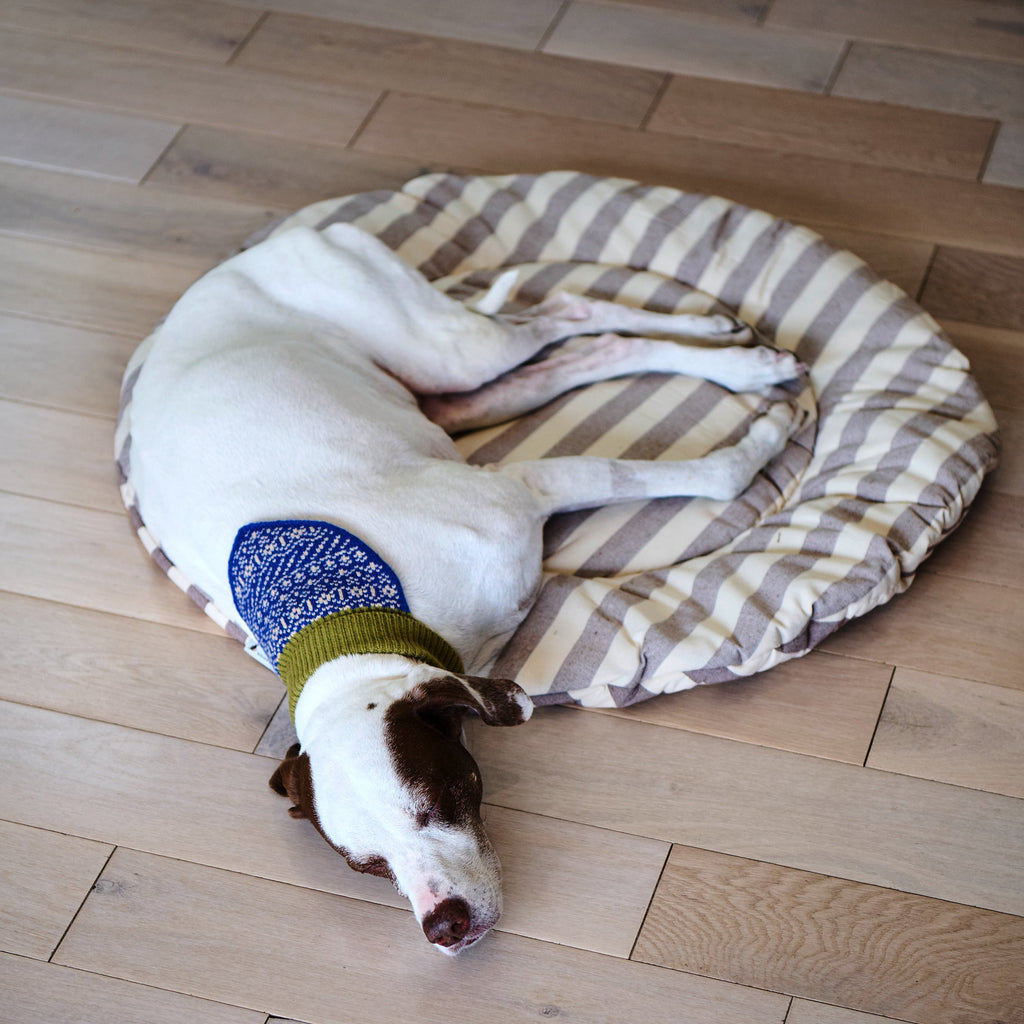 Pet Replacement Cushion product image 2